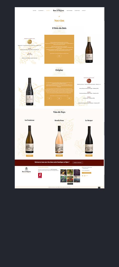 site-web-marseille-agence-webdesign-chateau-bois-d'arlène-paris-AGENCE WEB- design